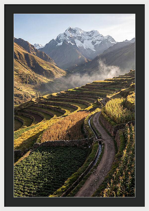 Andean Terraced Landscapes