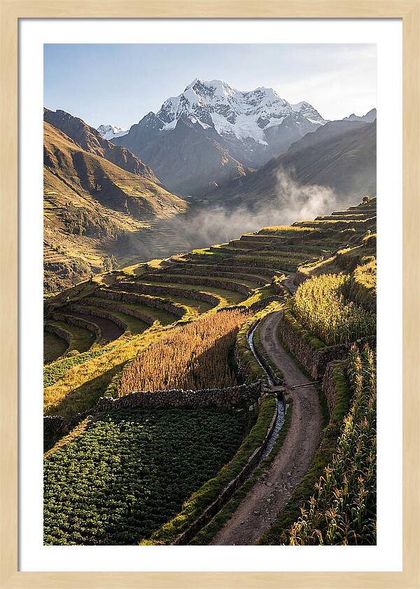 Andean Terraced Landscapes