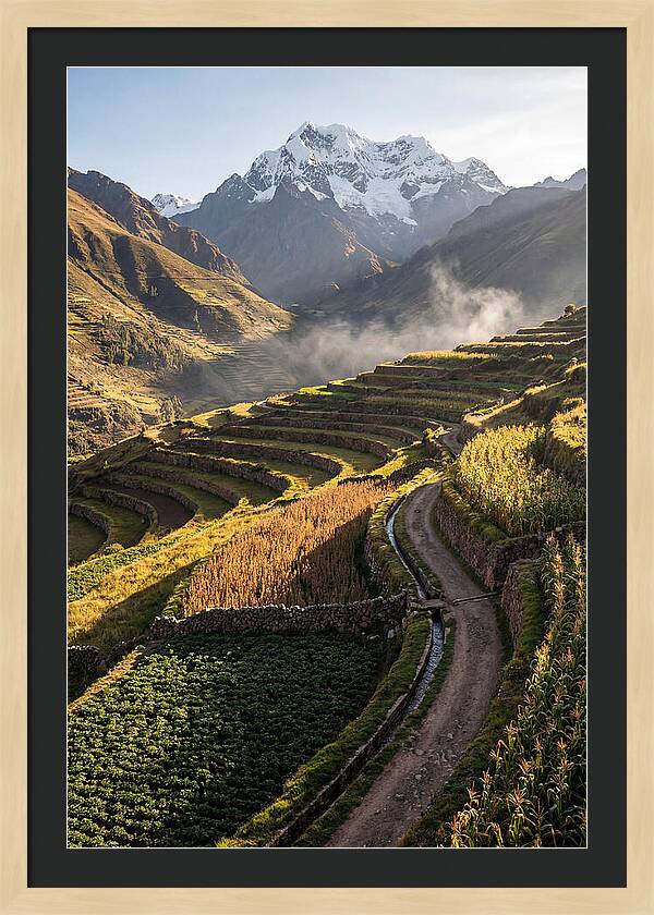 Andean Terraced Landscapes