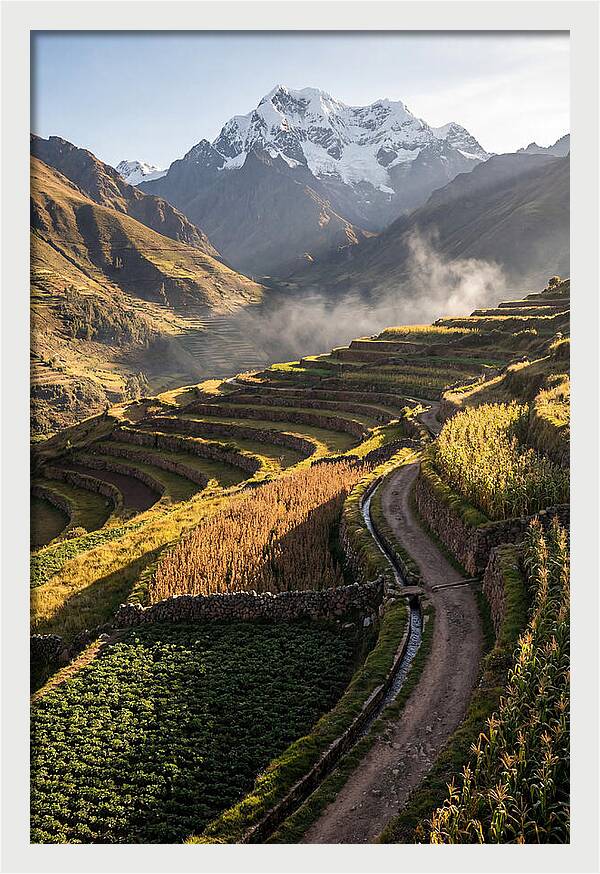 Andean Terraced Landscapes