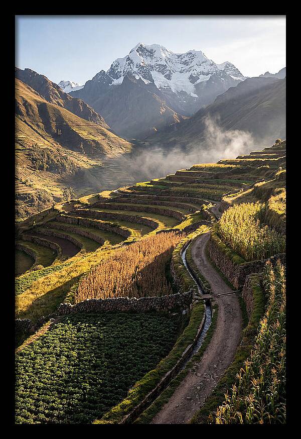 Andean Terraced Landscapes