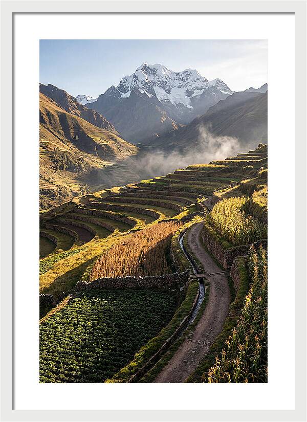 Andean Terraced Landscapes