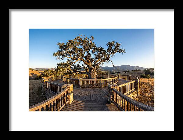 Angel Oak Overlook