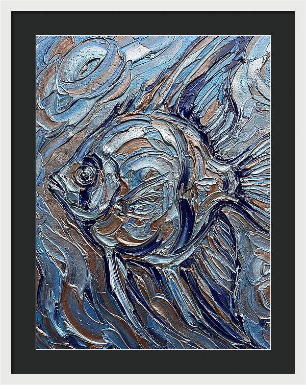 Angelfish In Motion