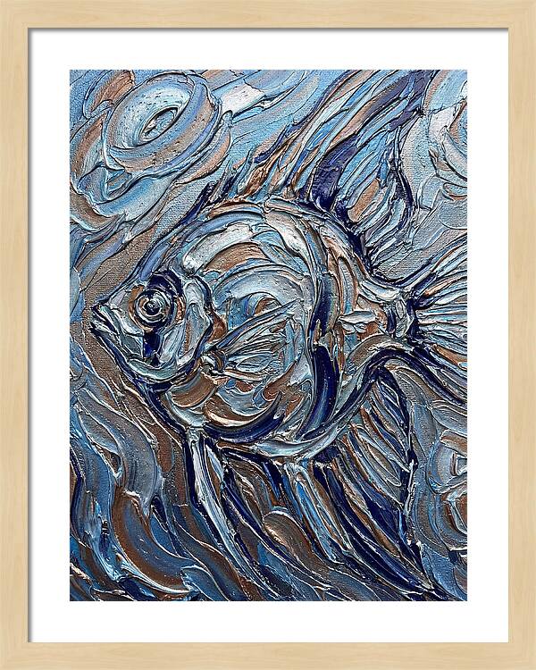 Angelfish In Motion