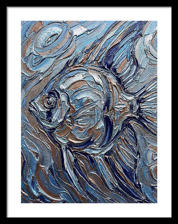 Angelfish In Motion