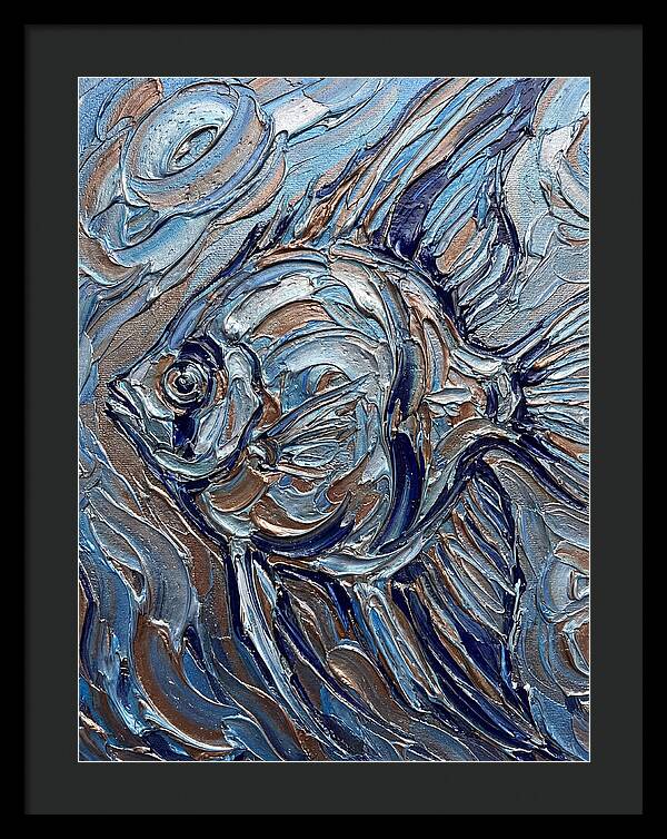 Angelfish In Motion