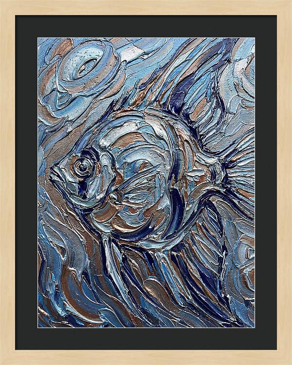 Angelfish In Motion