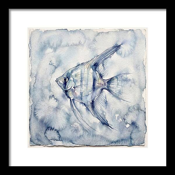 Angelfish In Serene Waters