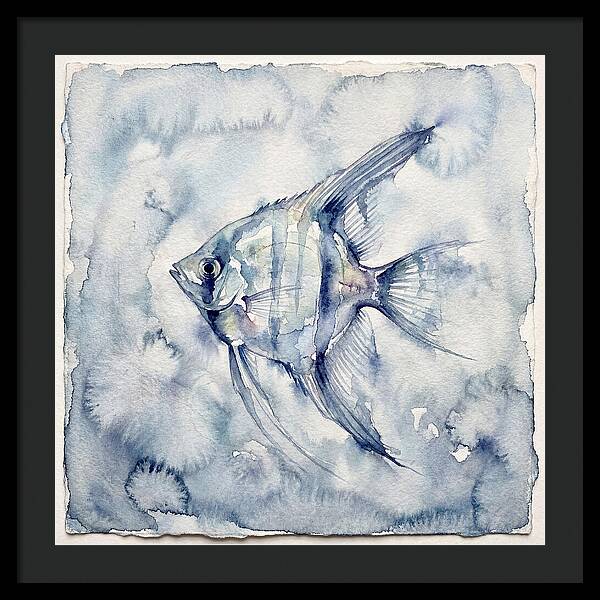 Angelfish In Serene Waters