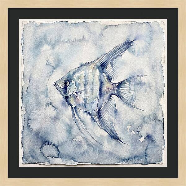 Angelfish In Serene Waters
