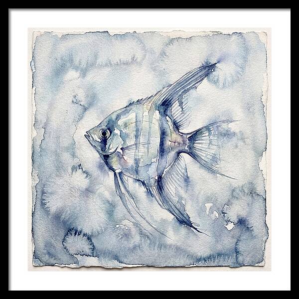 Angelfish In Serene Waters