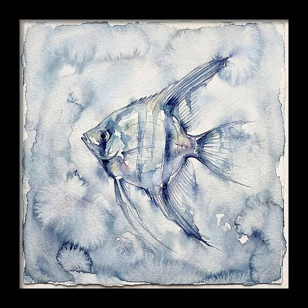 Angelfish In Serene Waters