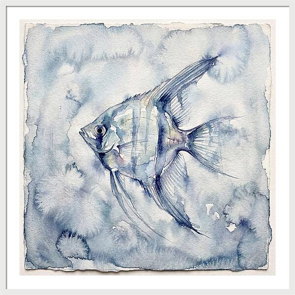 Angelfish In Serene Waters