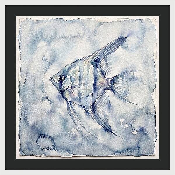 Angelfish In Serene Waters