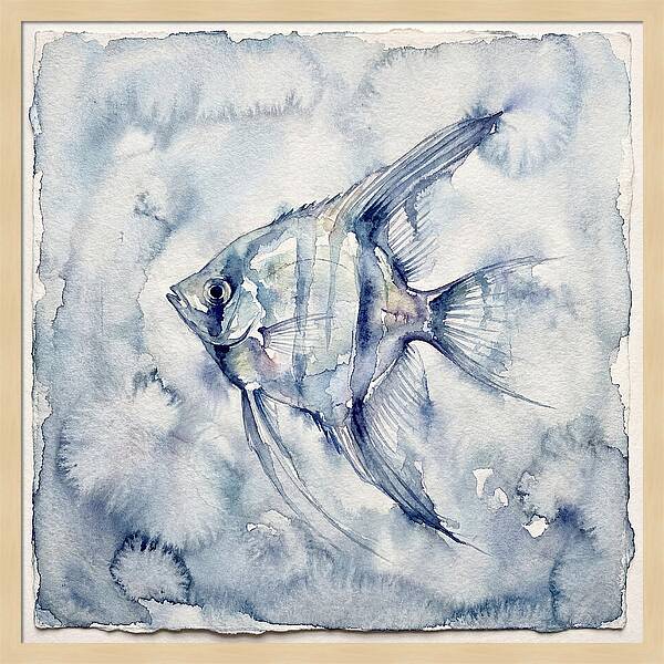 Angelfish In Serene Waters