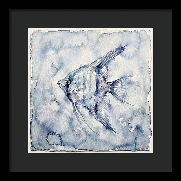 Angelfish In Serene Waters