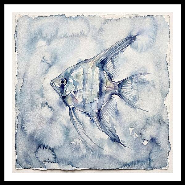Angelfish In Serene Waters