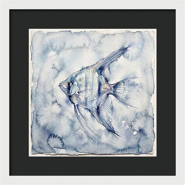 Angelfish In Serene Waters
