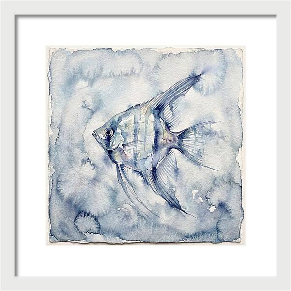 Angelfish In Serene Waters