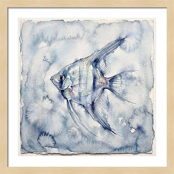 Angelfish In Serene Waters