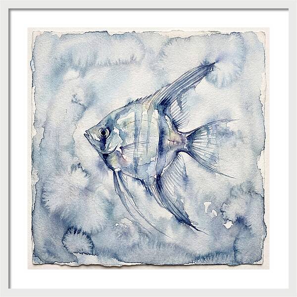 Angelfish In Serene Waters