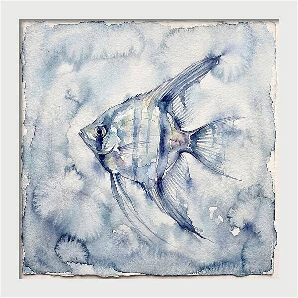 Angelfish In Serene Waters