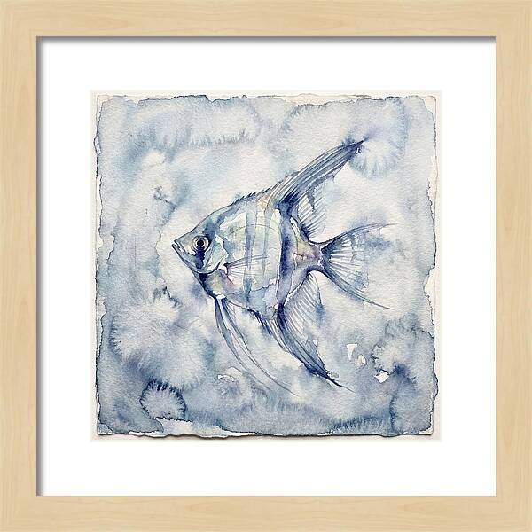 Angelfish In Serene Waters
