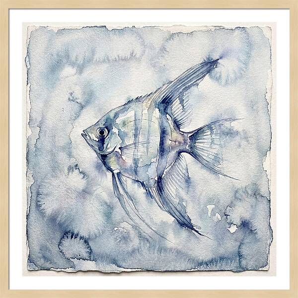 Angelfish In Serene Waters