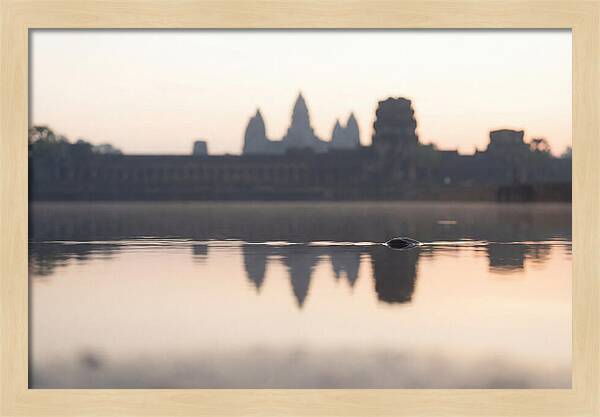 Angkor Wat At Sunrise Reflection