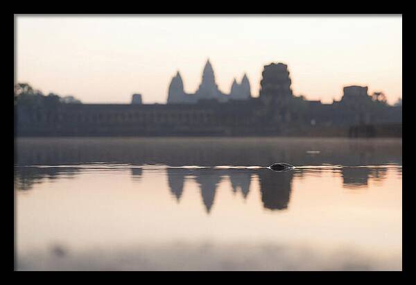 Angkor Wat At Sunrise Reflection