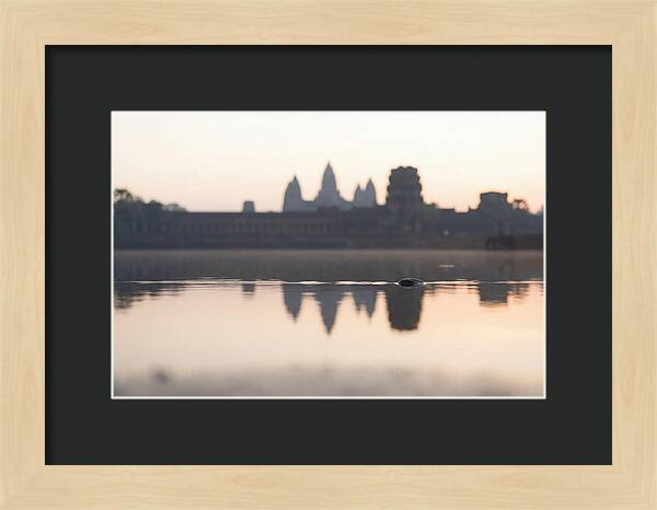 Angkor Wat At Sunrise Reflection