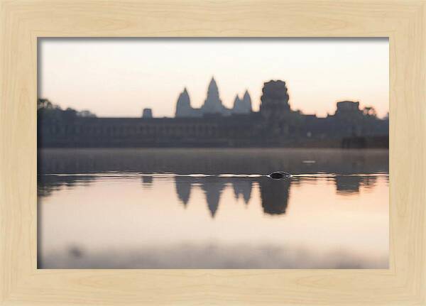 Angkor Wat At Sunrise Reflection