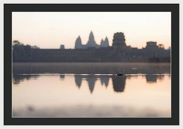 Angkor Wat At Sunrise Reflection