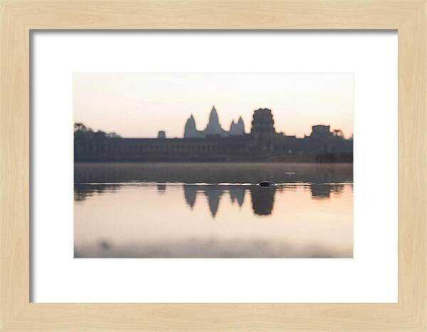 Angkor Wat At Sunrise Reflection