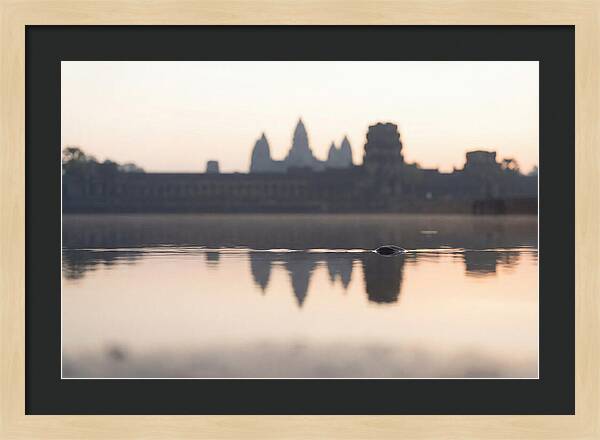 Angkor Wat At Sunrise Reflection