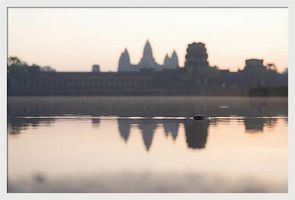 Angkor Wat At Sunrise Reflection