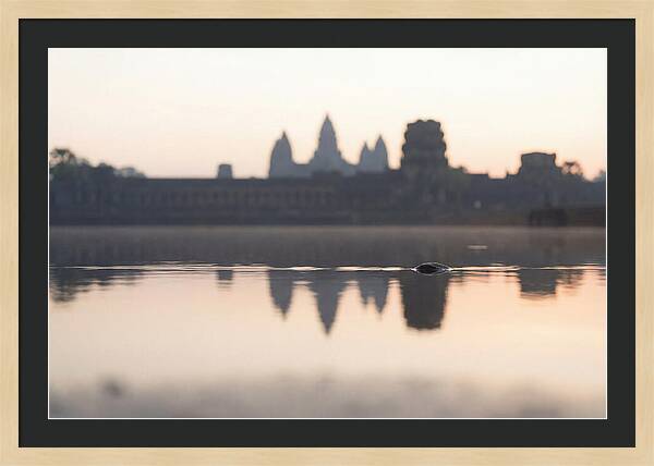 Angkor Wat At Sunrise Reflection