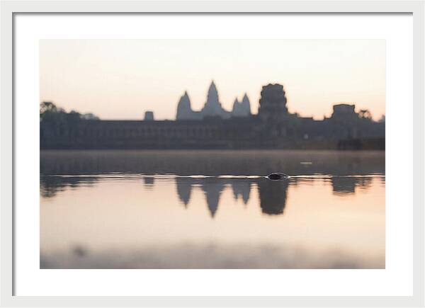 Angkor Wat At Sunrise Reflection
