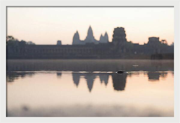 Angkor Wat At Sunrise Reflection