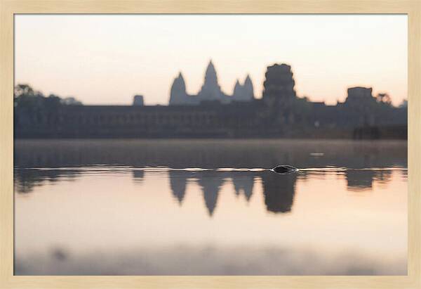 Angkor Wat At Sunrise Reflection