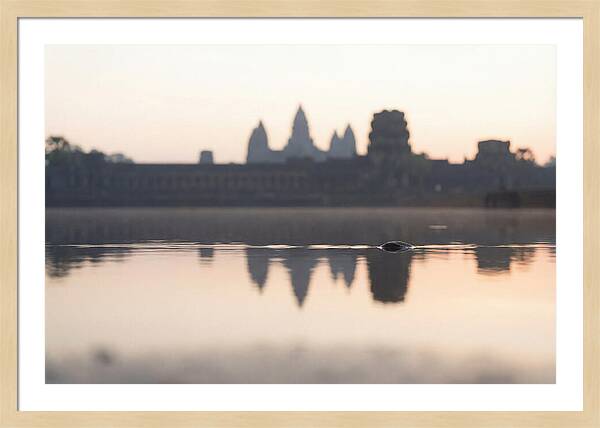 Angkor Wat At Sunrise Reflection