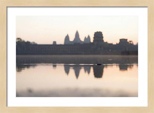 Angkor Wat At Sunrise Reflection