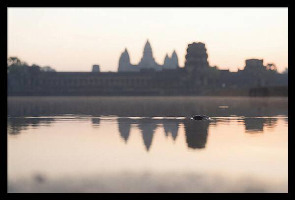 Angkor Wat At Sunrise Reflection