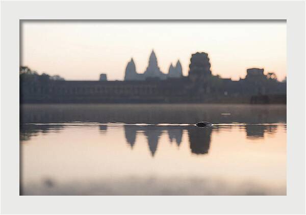 Angkor Wat At Sunrise Reflection
