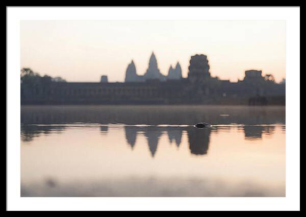 Angkor Wat At Sunrise Reflection