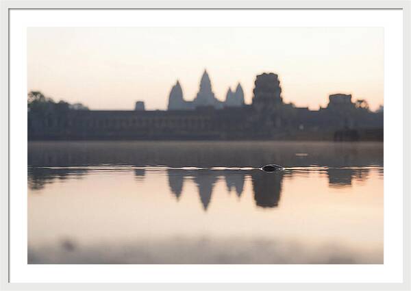 Angkor Wat At Sunrise Reflection