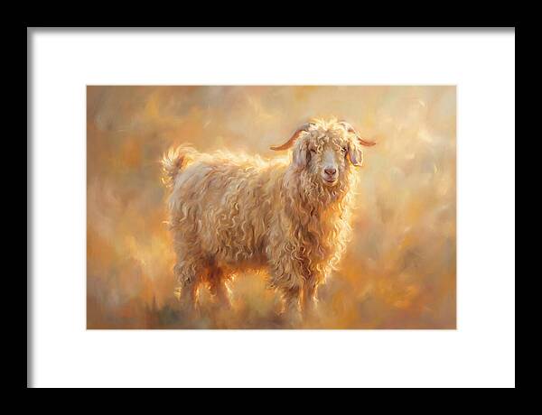 Angora Goat