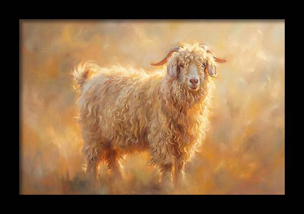Angora Goat