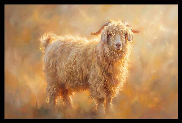 Angora Goat